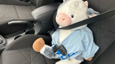 Hyundai BAYON 1.0 TGDi [120] 48V MHEV Premium 5dr Petrol Hatchback